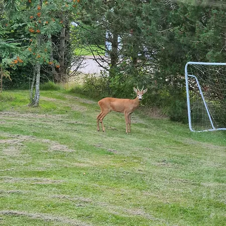 別荘 Cozy Summer House Near Hals